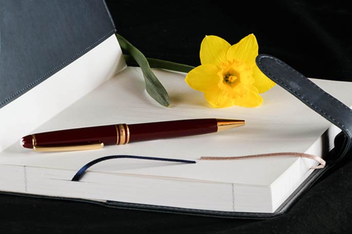 Compile Your Movement Journal